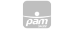 Logo cinza - Pam Saúde