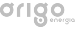 Logo cinza - Origo
