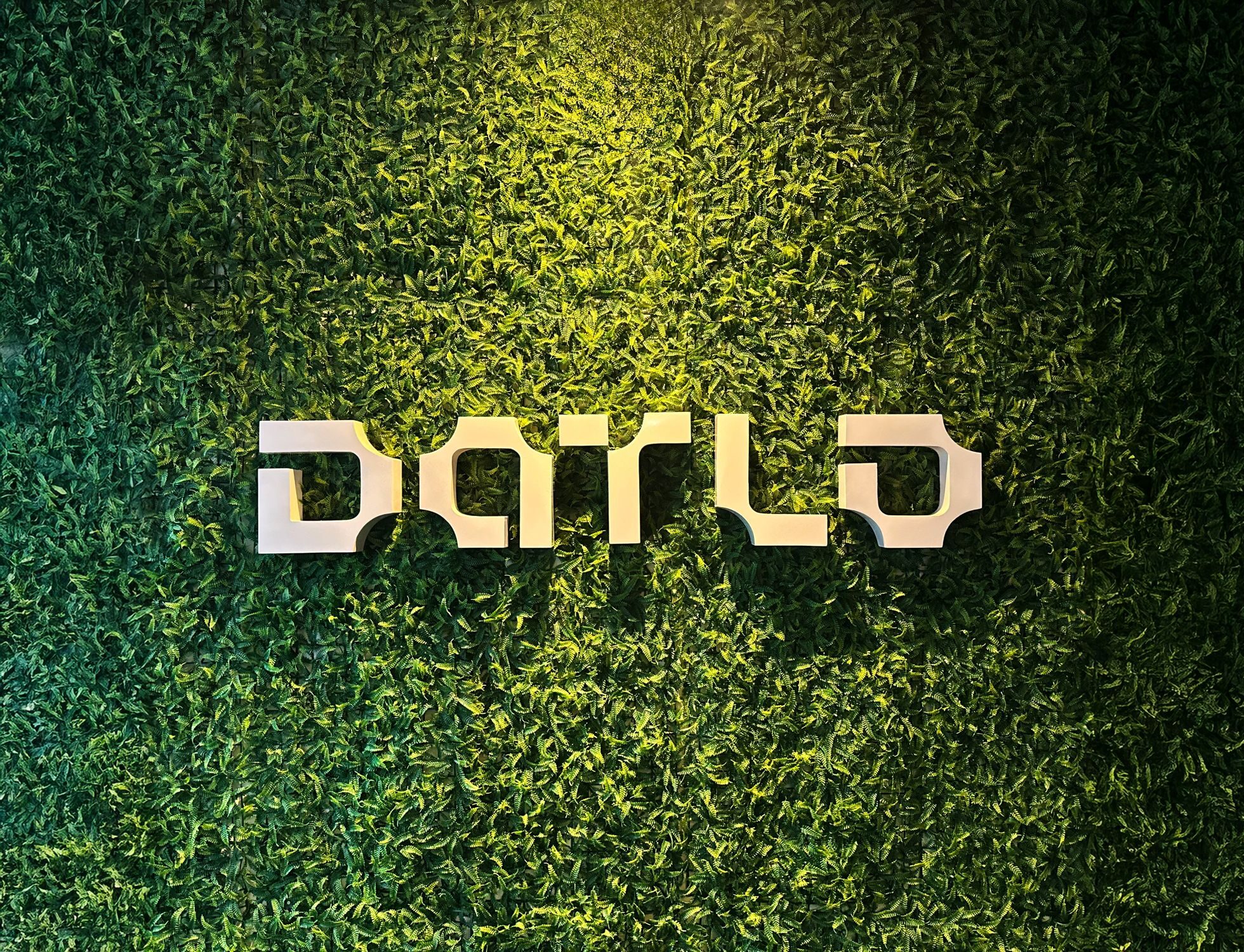 Parede coberta de folhas no escritório da Datlo, com a logo da Datlo no centro.