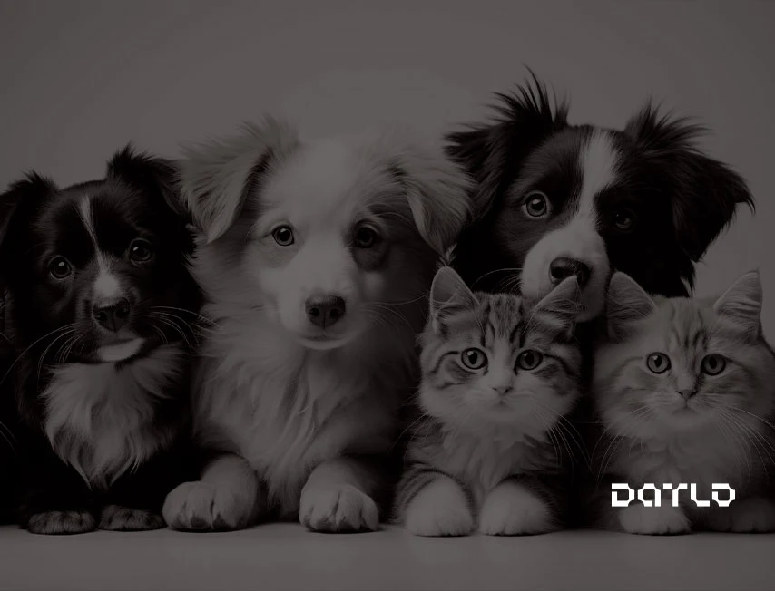 Imagem preta e branca com o logo da Datlo em branco no canto inferior direito, composta por 5 filhotes de cachorros e gatos olhando para a câmera, a imagem está para ilustrar sobre o tema pet friendly.