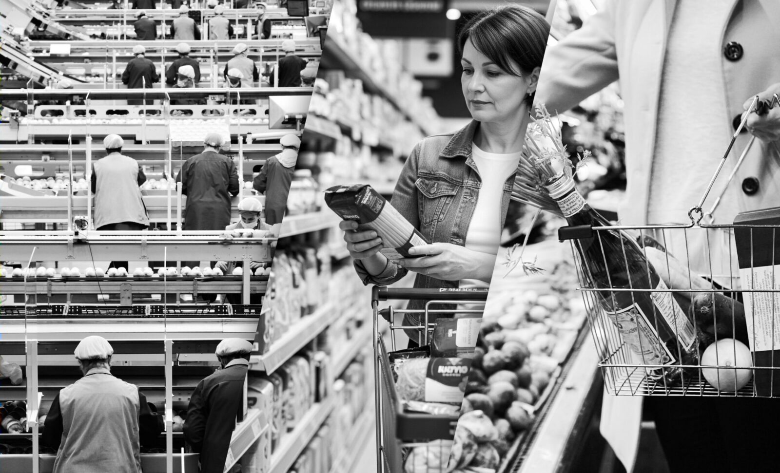 Capa - Segmento Alimentos
