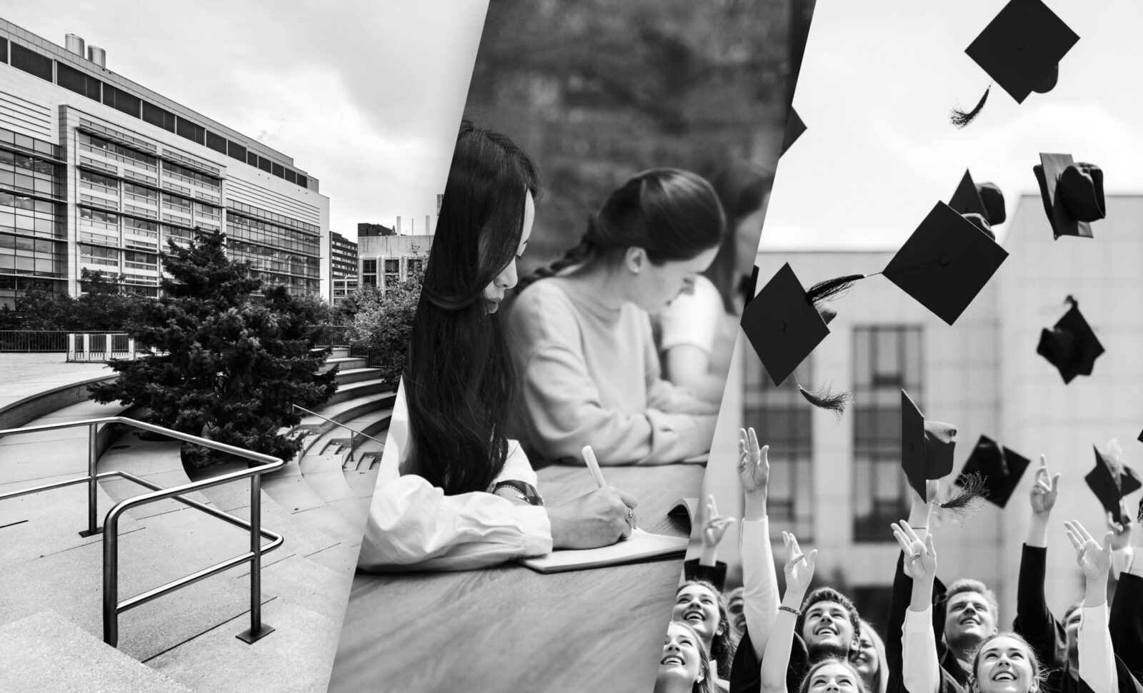 Capa - Segmento Educação